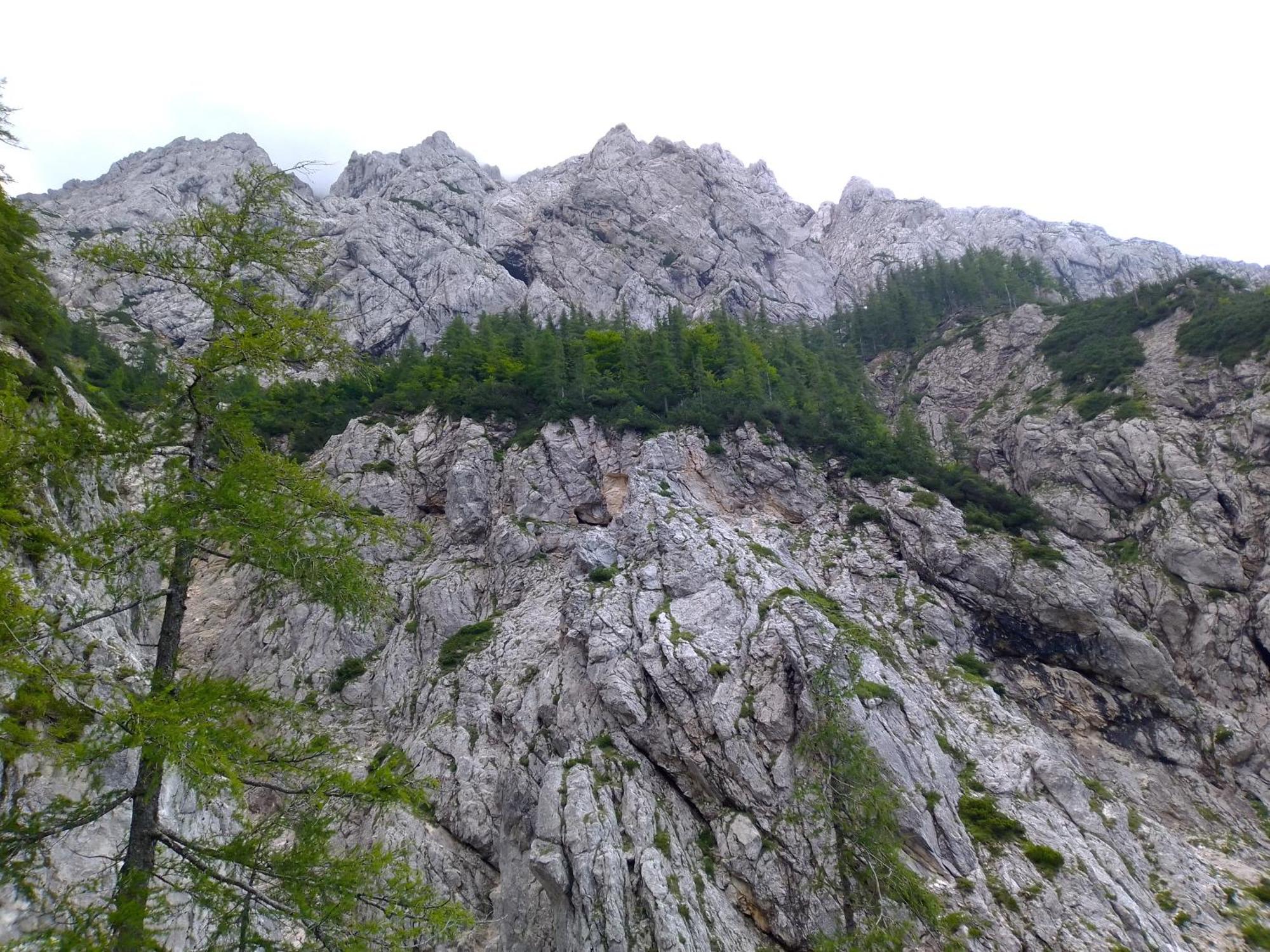 Camping & Glamping Grintovec Preddvor Exterior foto