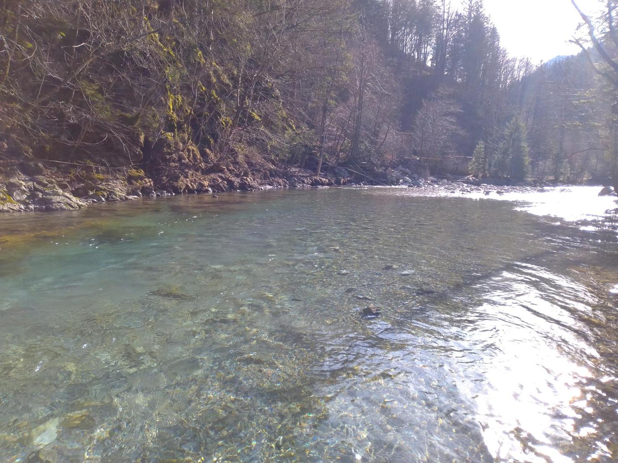 Camping & Glamping Grintovec Preddvor Exterior foto